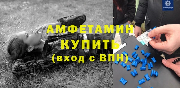 шишки Козельск