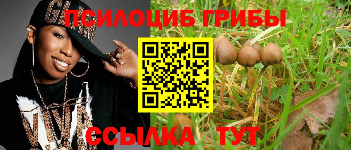 Псилоцибиновые грибы Psilocybine cubensis Феодосия